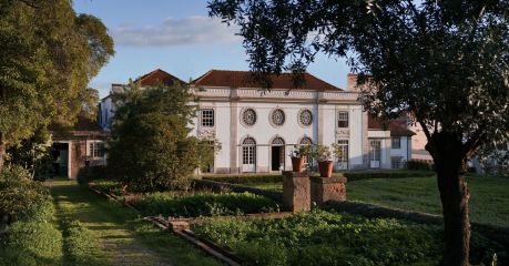 Palácio Grilo — photo 1