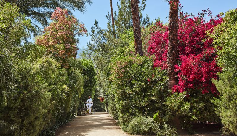Parker Palm Springs — photo 4