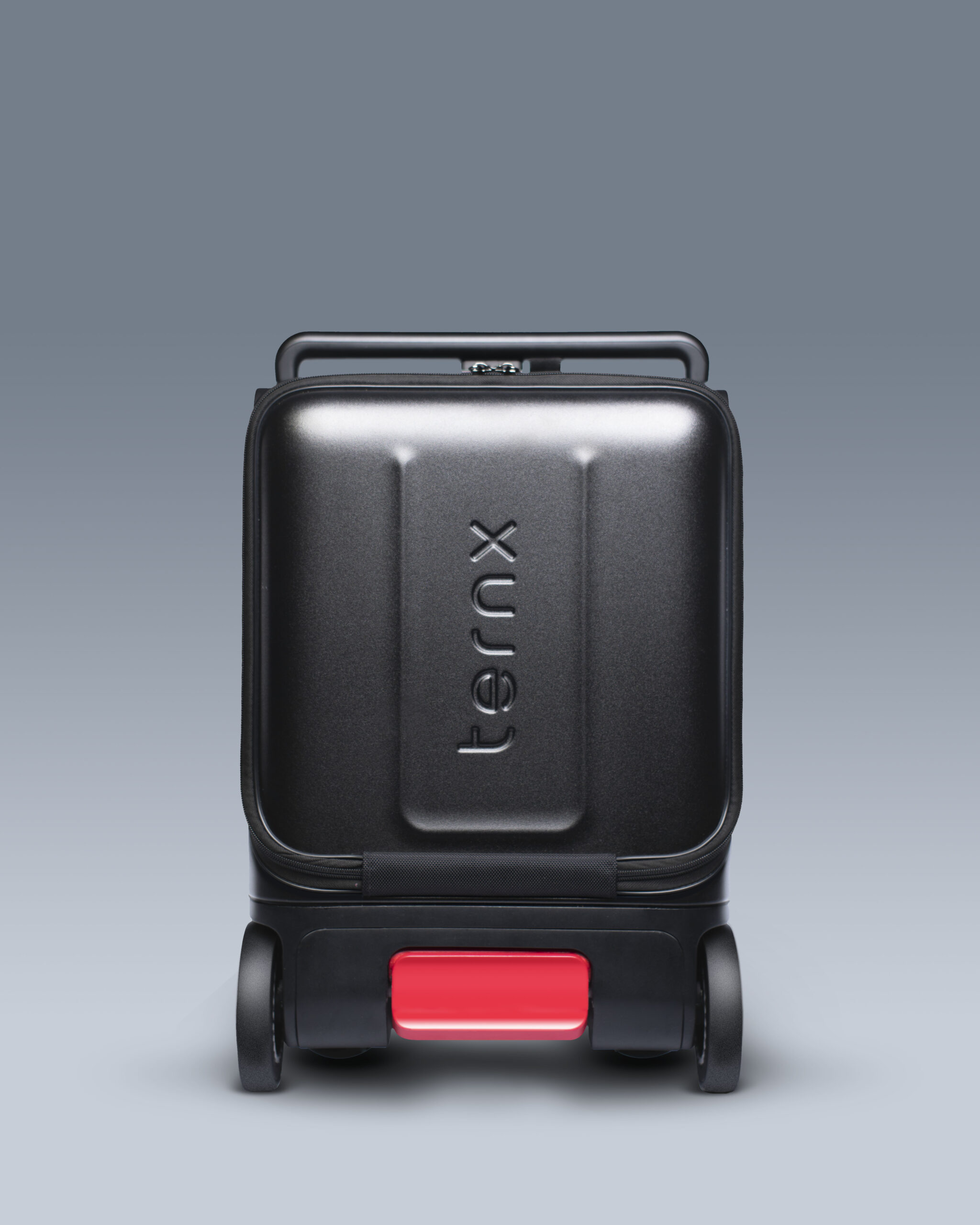 TernX — photo 2