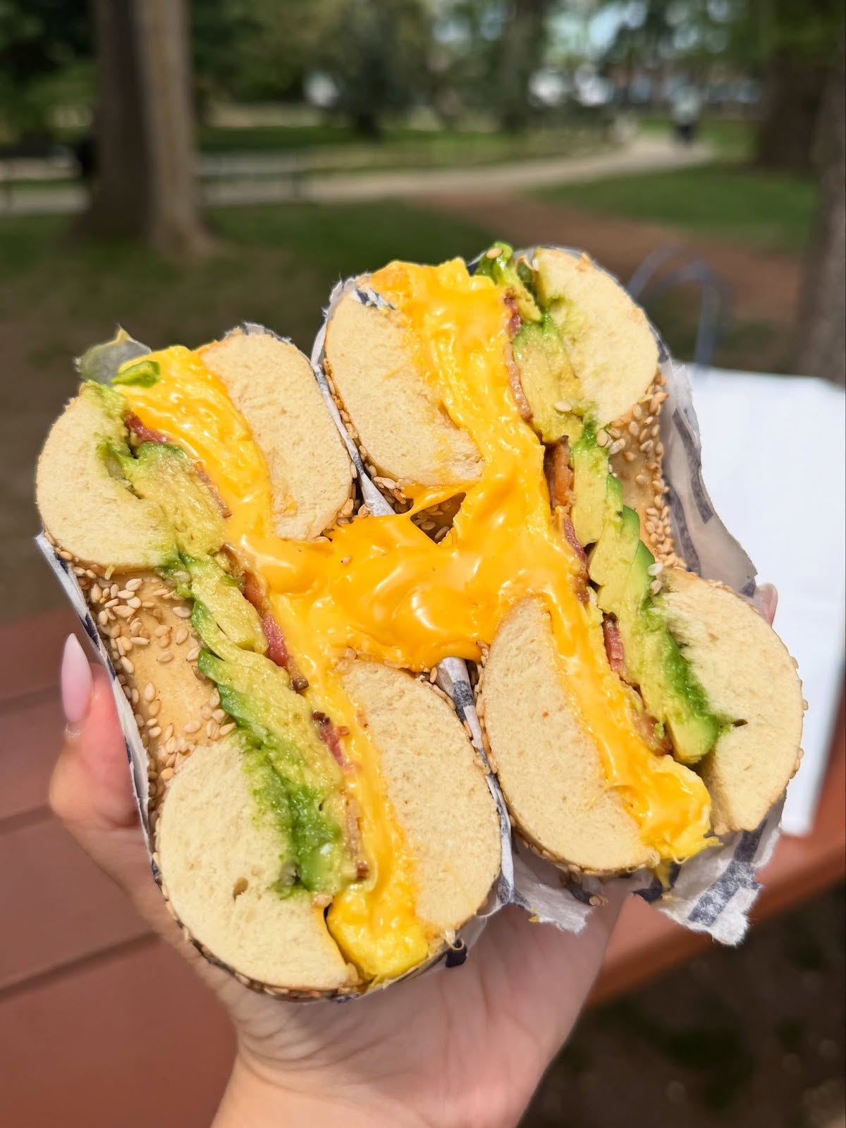 H&H Bagels — photo 4